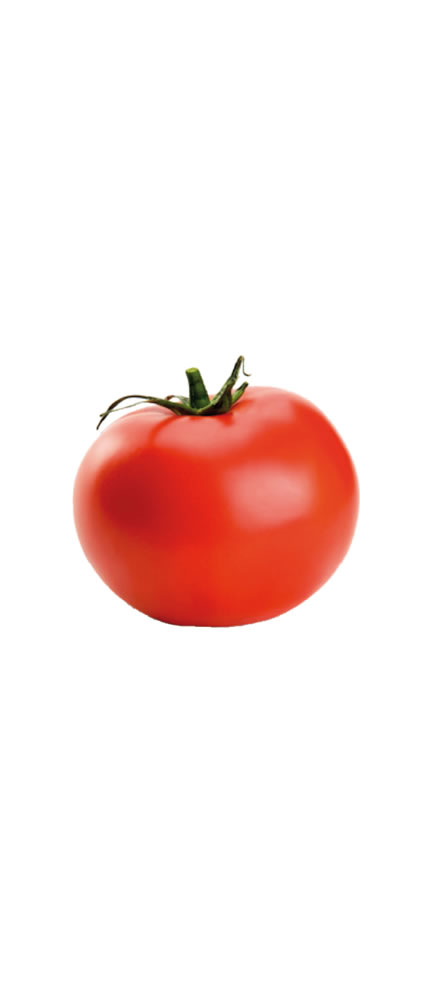 Tomate = BECO